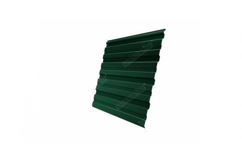 Профнастил С10R 0.45 PE-Double RAL 6005 зеленый мох